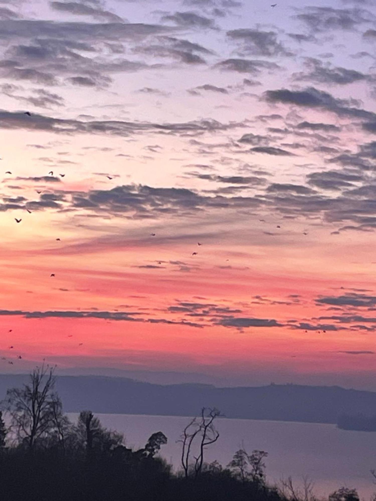 Ferienwohnung Urban - Ahorn -- Meersburg Exteriér fotografie